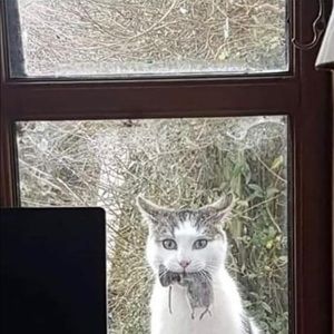 Meet your Posher, Robert